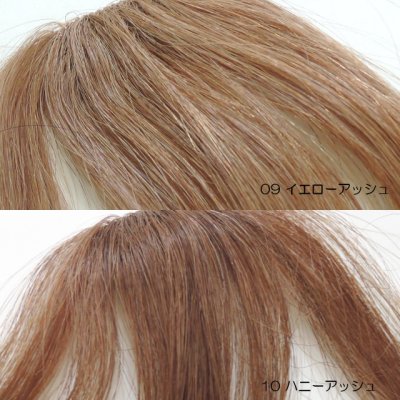 画像4: 【人毛100％】総手植え前髪ウィッグ（サイド有り）【スリムバング#02】全5色